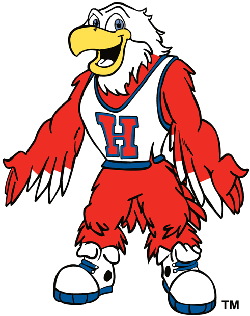 hartford hawks 1984-pres mascot logo iron on transfers for fabric fabric transfer 2